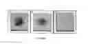 Fig. 02 - Functionalized fullerenes as antifungal agents