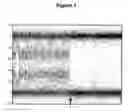 Fig. 02 - METHODS AND MATERIALS FOR ASSESSING LOSS OF HETEROZYGOSITY