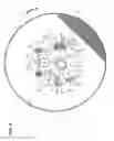 Fig. 09 - Method and machine for continuous coating of cores of products, in particular, confectionary products