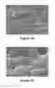 Fig. 02 - Biodegradable blends and films having nano-structural features