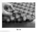 Fig. 06 - ALTERNATING PATTERN GEL CUSHIONING ELEMENTS AND RELATED METHODS
