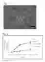 Fig. 02 - SCAFFOLD