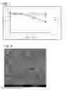 Fig. 05 - SCAFFOLD