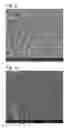 Fig. 06 - SCAFFOLD
