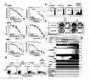 Fig. 01 - METHOD OF DETERMINING SENSITIVITY OF HUMAN OR NON-HUMAN ANIMAL CELLS TO AN IAP ANTAGONIST