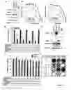 Fig. 07 - METHOD OF DETERMINING SENSITIVITY OF HUMAN OR NON-HUMAN ANIMAL CELLS TO AN IAP ANTAGONIST