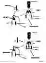Fig. 09 - METHOD OF DETERMINING SENSITIVITY OF HUMAN OR NON-HUMAN ANIMAL CELLS TO AN IAP ANTAGONIST