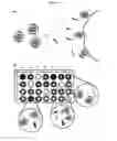 Fig. 02 - METHODS AND COMPOSITIONS FOR PATHOGEN DETECTION USING FLUORESCENT POLYMER SENSORS