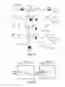 Fig. 02 - COMPOSITIONS AND METHODS FOR MODULATING THE ACID-SENSING ION CHANNEL (ASIC)