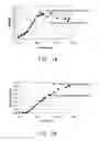 Fig. 02 - Expression of hexose kinase in recombinant host cells