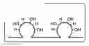 Fig. 01 - Silicon surface modification for the electrochemical synthesis of silicon particles in suspension