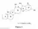 Fig. 02 - Cyclopamine lactam analogs and methods of use thereof