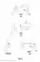 Fig. 07 - Linked Myc-max small molecule inhibitors