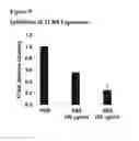 Fig. 19 - COMPOSITIONS FOR INHIBITING GENE EXPRESSION AND USES THEREOF