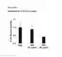 Fig. 20 - COMPOSITIONS FOR INHIBITING GENE EXPRESSION AND USES THEREOF