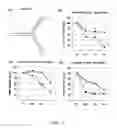 Fig. 02 - SMALL INTERFERENCE RNA COMPLEX WITH INCREASED INTRACELLULAR TRANSMISSION CAPACITY