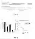 Fig. 09 - SMALL INTERFERENCE RNA COMPLEX WITH INCREASED INTRACELLULAR TRANSMISSION CAPACITY
