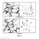 Fig. 08 - BENZOTHIOPHENE CARBOXAMIDE COMPOUNDS, COMPOSITION AND APPLICATIONS THEREOF