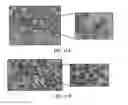 Fig. 09 - BENZOTHIOPHENE CARBOXAMIDE COMPOUNDS, COMPOSITION AND APPLICATIONS THEREOF
