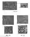 Fig. 10 - BENZOTHIOPHENE CARBOXAMIDE COMPOUNDS, COMPOSITION AND APPLICATIONS THEREOF