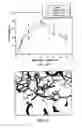 Fig. 12 - BENZOTHIOPHENE CARBOXAMIDE COMPOUNDS, COMPOSITION AND APPLICATIONS THEREOF