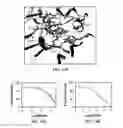Fig. 13 - BENZOTHIOPHENE CARBOXAMIDE COMPOUNDS, COMPOSITION AND APPLICATIONS THEREOF