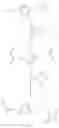 Fig. 13 - Conjugation reactions