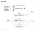 Fig. 02 - Process for the hydrogenation of ketoesters