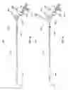 Fig. 09 - Occlusion perfusion catheter