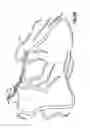 Fig. 12 - Catheter with flexible tip and shape retention