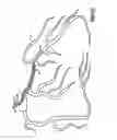 Fig. 13 - Catheter with flexible tip and shape retention