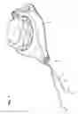 Fig. 02 - Wound closure system
