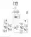Fig. 03 - Dynamic language translation of web site content
