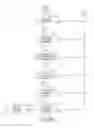 Fig. 30 - Dynamic language translation of web site content