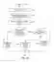 Fig. 28 - Dynamic language translation of web site content