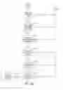 Fig. 30 - Dynamic language translation of web site content