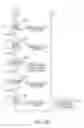Fig. 25 - Dynamic language translation of web site content