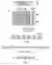 Fig. 07 - Enhanced query performance using fixed length hashing of multidimensional data