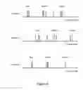 Fig. 05 - Organizing images captured by multiple image capture devices