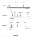 Fig. 07 - Organizing images captured by multiple image capture devices