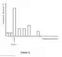 Fig. 10 - Organizing images captured by multiple image capture devices