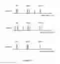 Fig. 11 - Organizing images captured by multiple image capture devices