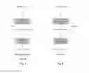 Fig. 02 - Query-based semantic analysis of ad hoc configuration languages for networks