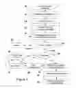 Fig. 02 - Direct response and feedback system