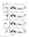 Fig. 68 - Media-editing application with a free-form space for organizing or compositing media clips