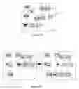 Fig. 15 - DYNAMIC VIDEO EDITING