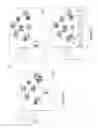 Fig. 24 - DYNAMIC VIDEO EDITING