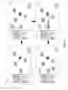 Fig. 50 - DYNAMIC VIDEO EDITING
