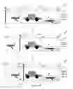 Fig. 67 - DYNAMIC VIDEO EDITING