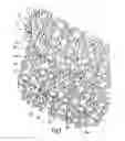 Fig. 02 - Touch-and-close fastener part and method for producing a touch-and-close fastener part